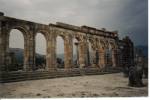 11 Volubilis.jpg